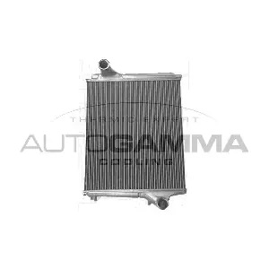 405510 AUTOGAMMA