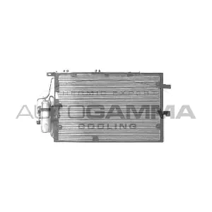 102739 AUTOGAMMA