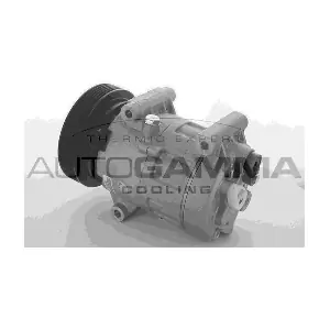 108561 AUTOGAMMA