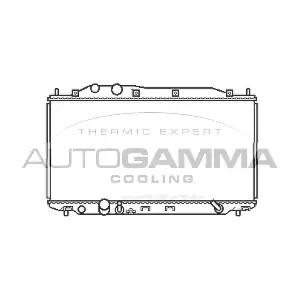 105125 AUTOGAMMA