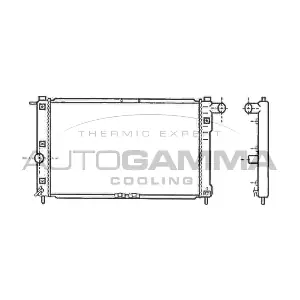 102581 AUTOGAMMA