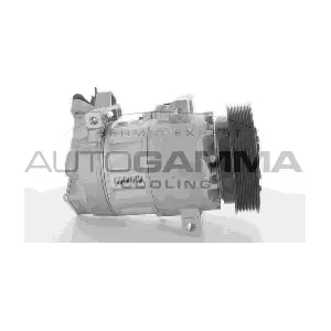 108913 AUTOGAMMA