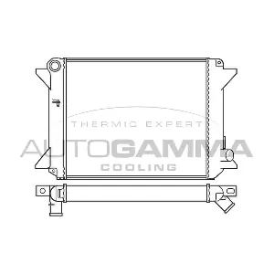 100168 AUTOGAMMA