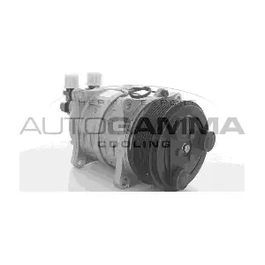 109271 AUTOGAMMA