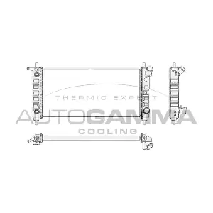 102224 AUTOGAMMA
