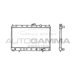 103495 AUTOGAMMA