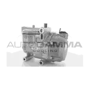 118417 AUTOGAMMA