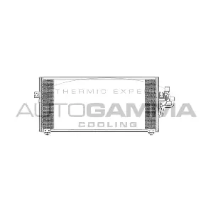 102712 AUTOGAMMA