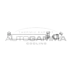 105716 AUTOGAMMA