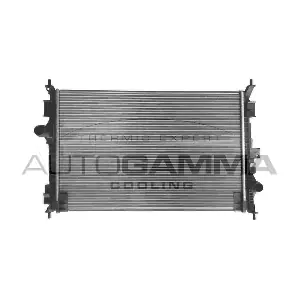 107367 AUTOGAMMA