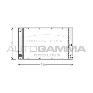 103395 AUTOGAMMA