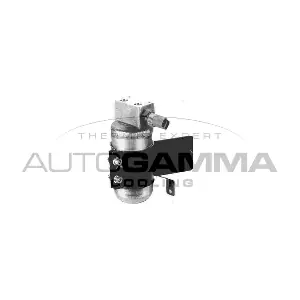 106219 AUTOGAMMA