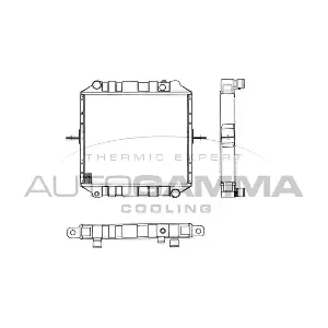102215 AUTOGAMMA