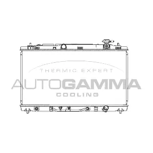 107062 AUTOGAMMA