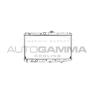 101014 AUTOGAMMA