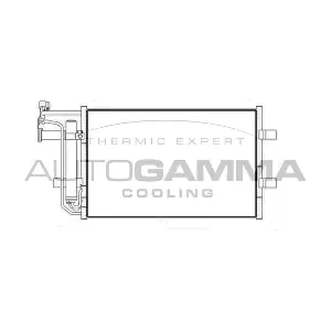 105969 AUTOGAMMA