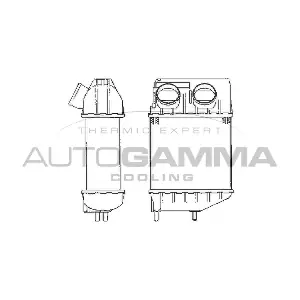 101954 AUTOGAMMA