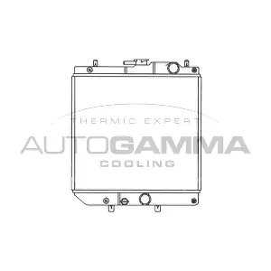 103789 AUTOGAMMA