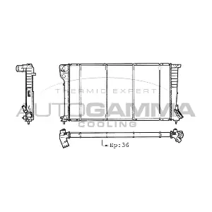 101515 AUTOGAMMA