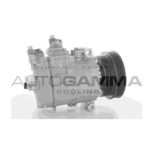 108979 AUTOGAMMA