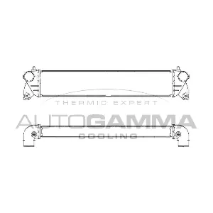 107417 AUTOGAMMA