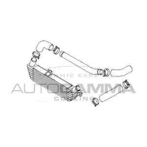 105724 AUTOGAMMA