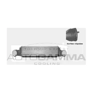 103823 AUTOGAMMA