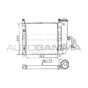 100306 AUTOGAMMA