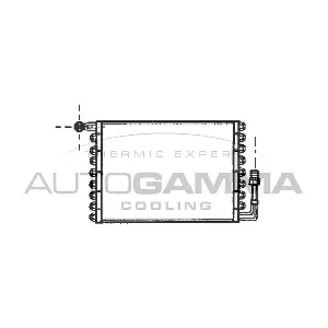 100521 AUTOGAMMA