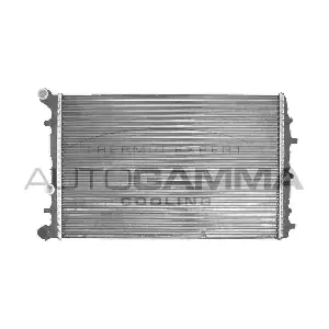 103113 AUTOGAMMA