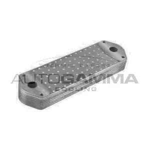 107802 AUTOGAMMA