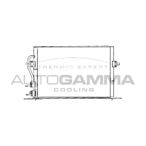 101693 AUTOGAMMA