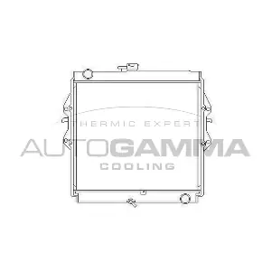 105906 AUTOGAMMA