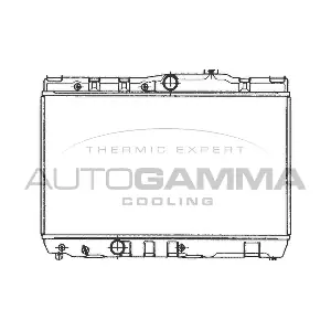 101002 AUTOGAMMA