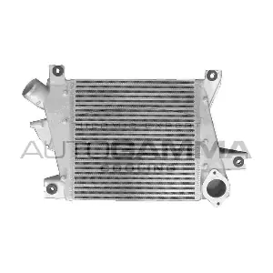 107597 AUTOGAMMA