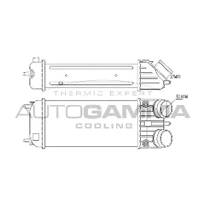105775 AUTOGAMMA