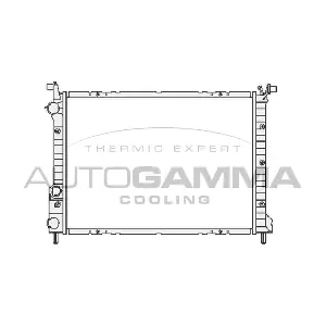 AUTOGAMMA 101191 Радиатор, охлаждение двигателя