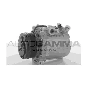 108921 AUTOGAMMA