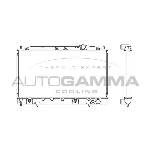 103163 AUTOGAMMA