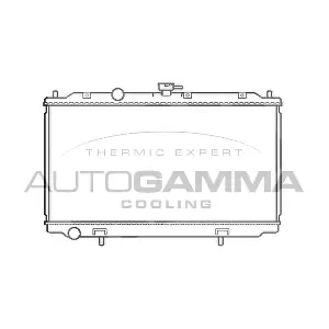 103499 AUTOGAMMA