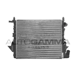 100917 AUTOGAMMA