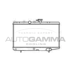 103817 AUTOGAMMA
