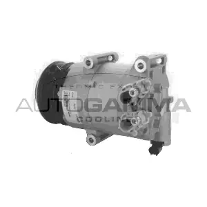 118643 AUTOGAMMA