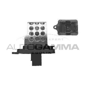 GA15259 AUTOGAMMA