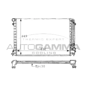 101119 AUTOGAMMA