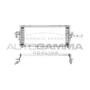 102717 AUTOGAMMA