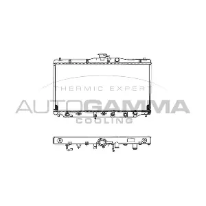 100404 AUTOGAMMA