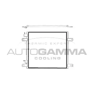 304412 AUTOGAMMA