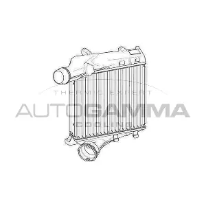 107555 AUTOGAMMA