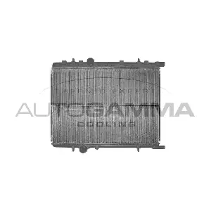 102874 AUTOGAMMA